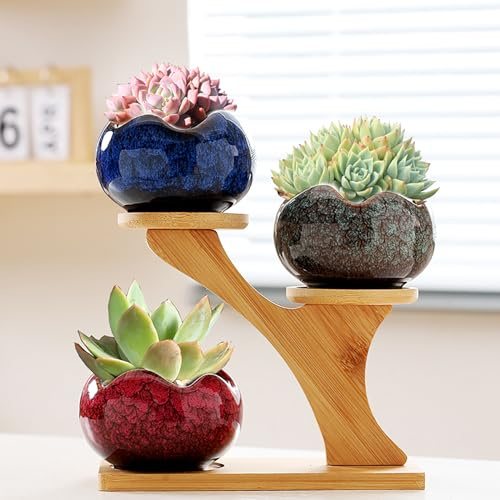 Simcat Ceramic Succulent Plant Pot Set of 3, Succulent Pots with 3 Tier Bamboo Saucers Stand Holder,Small Indoor Plant Pots with Drainage, Plant Gifts for Home Garden Office