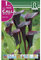 BULBO CALLA LIRIO DE AGUA BLACK STAR - CALA FLOR JARRO - 1 UD…
