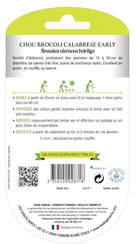 Graines chou brocoli Calabrese early BIO Les Doigts Verts