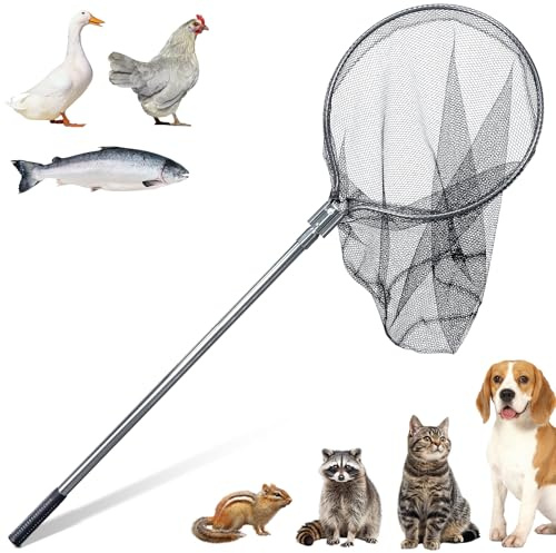 KHEARPSL Rete cattura animali per cani di grandi dimensioni per gallo, tacchino, anatra, procione, gatto, cane, rete da pesca con palo telescopico 109,2-198,1 cm, apertura rete 50,8 cm, profondità