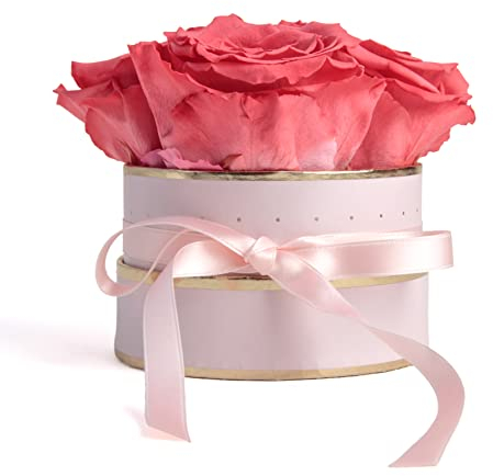 ROSEMARIE SCHULZ Heidelberg - Scatola per Rose, Rotonda, Colore: Bianco