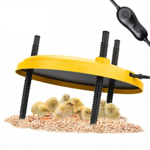 BibiBirds Plaque Chauffante Poussin avec Température,Hauteur et Angle Réglable, Chauffage pour poussin 30x30 cm, Plaque Chauffante en métal 35W,Pour eleveuse poussin,canetons et aux petits