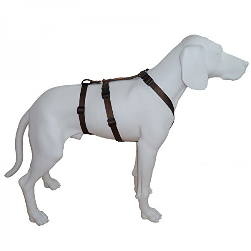 Hoffmann NoExit Hundegeschirr® - ausbruchssicher, Panikgeschirr, Unifarben Braun, Bauchumfang 55-75 cm, 20 mm Bandbreite