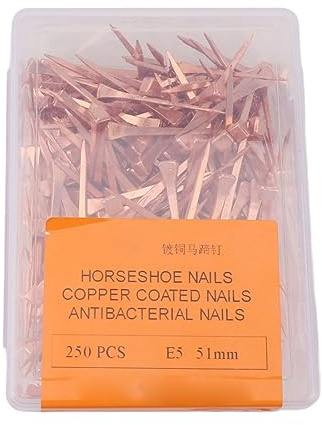 YULEESIYIP Ropper Ploteted a Prova di Ferro a Cavallo Unghie equestri Riding per Animali Domestici con Scatola di deposito in plastica 250pcs (51mm E5)