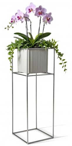 FRAMADO - Pflanzenständer Filo - 24x24x60cm - Farbe Silber - für Zimmerblumen - Metallregal - Dekorativer Tisch - Blumenständer - für Zimmerecke, Wohnzimmer, Balkon