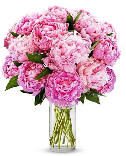 From You Flowers - Pretty Pink Peonies - Deluxe with Glass Vase | Fresh Flower Bouquets for Birthday, Anniversary, Get Well or Celebration