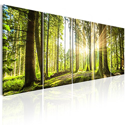 B&D XXL - Akustikbild Wald 225x90 cm 5 tlg Bilder Akustikschaum Schallschutz Akustikpaneele Wandpaneele Schalldämmung Wandbild Schallabsorber Akustikplatten Waldlandschaft Natur Baum c-C-0177-b-n