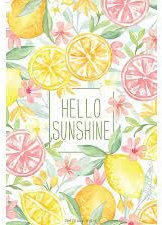 Willowbrook Duftbeutel Hello Sunshine 115 ml - Frisch