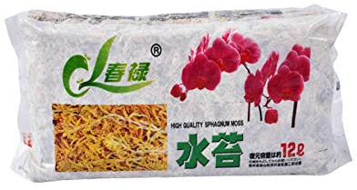 Vecksoy Mousse de sphaigne 12 l / 6 l pour bonsaï, orchidées, sphagnum mousse, substrat get, séchage à la mousse d'eau, mousse sèche, herbe, substrat pour orchidée, phalaenopsis