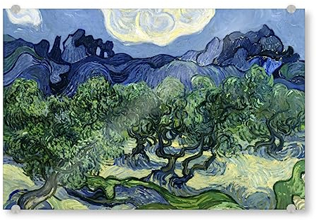 artboxONE Acrylglasbild 120x80 cm Natur Olivenbäume malen - Bild olivenbäume berühmt bildende Kunst