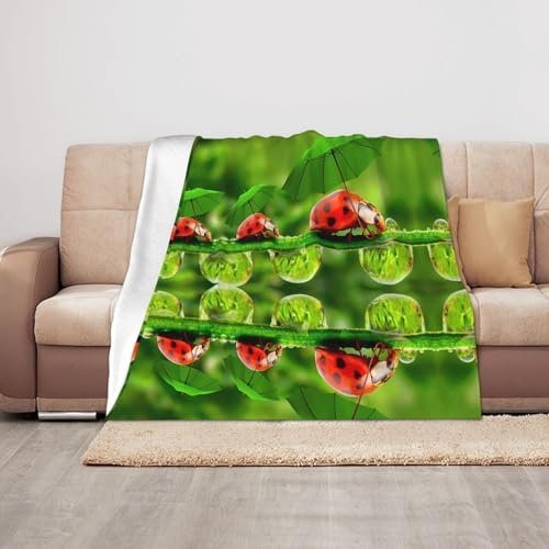 HAHAFU Lustige Marienkäfer hält Regenschirme warme Überwurfdecke, personalisierter Druck, saugfähig, weiche Flanelldecke für Bett, Sofa, 125 x 100 cm