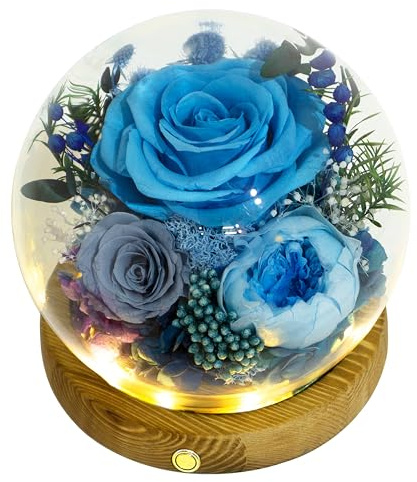 Valley of Rain & Forest Long-Lasting Real Flowers, Unique Floral Gift For you to send Love for All Occasions, for Indoor Decoration (Blue Rose, Grey & White-Blue Austin Roses)