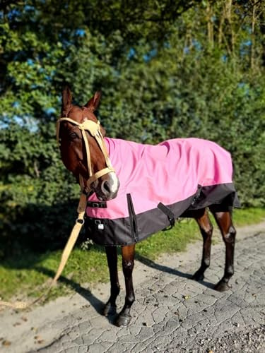 Pferdedecke Regendecke 1200D Highneck Outdoordecke Farbe Rosa 115, 125, 135, 145, 155 & 165 cm (Rosa, 145 cm)