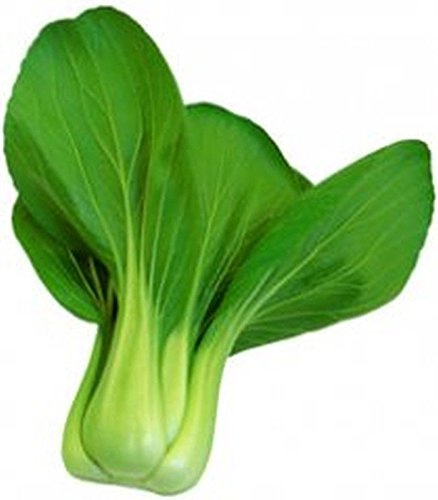 Seeds germination seeds: 50 - Semi: San Fan Hybrid Pak Choi Seeds - Dicke Dunkelgrüne Blue - Schmeckt fantastico! ! !