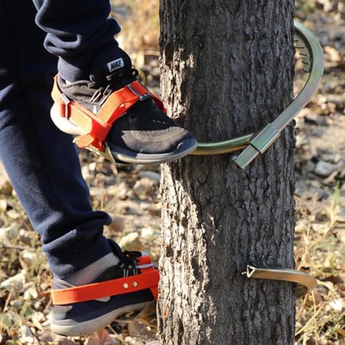 Carbon Steel Tree Climbers Spikes, 10'' 12'' 14'' 16'' 18'' 20'' Portable Tree Climbings Gear 1 Pair for Picking Fruit, Coconut, Wooden Pole Climbing Spikes, Load-330lbs