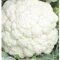 WegAna Blumenkohl Beta Samen 1g, Sehr frühe Sorte Robuste Gemüsesame Gemüse Samen, Samen Anzucht Saatgut für Gewächshaus