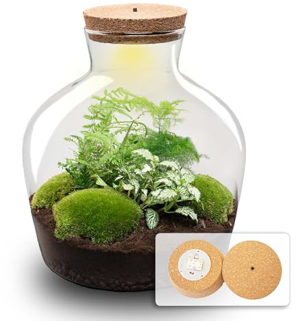 urbanjngl - Fat Joe Terrarium Grün - DIY Kit mit Licht - Pflanzene kosystem - Ø 29 cm, Höhe 30 cm - Ideal für Pflanzenliebhaber und kreative Dekoration