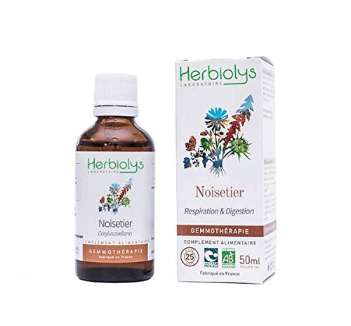 Bourgeons de Noisetier Bio - 50 ml