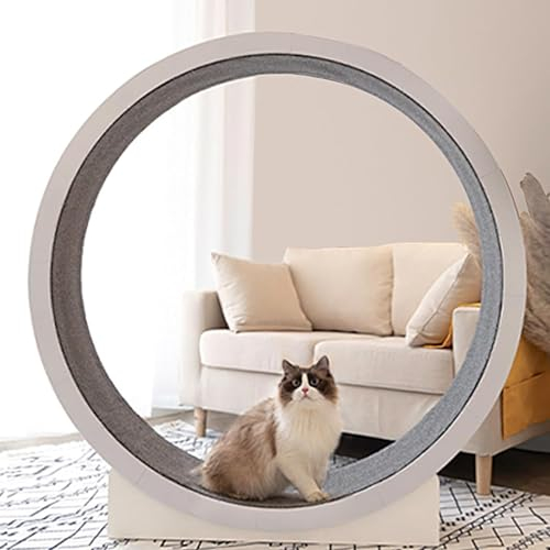 DPLXFPP Katzenlaufrad Großes Laufrad Für Katzen 120cm,Katzenlaufrad Für Wohnungskatzen,Indoor-Übungsspielzeug Für Kleine/Mittelgroße Cat Treadmill