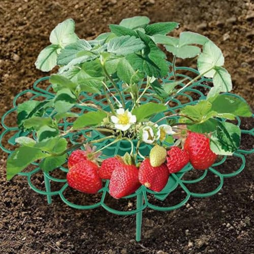 10 soportes para fresas, soporte para plantas de fresas de jardín, soporte de marco de cultivo, jaula protectora, 30 x 9,5 cm, verde