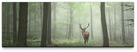 Eau Zone Leinwandbild auf Echtholzrahmen Rehbock in einem Wald 150x50cm