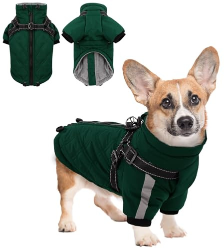 CITÉTOILE Warmer Hundejacke mit Geschirr, Winddichte Hundemantel für Kaltes Wetter, Hundebekleidung mit Reißverschlüssen und Lockeren Bündchen für Hunde, Grün, XS