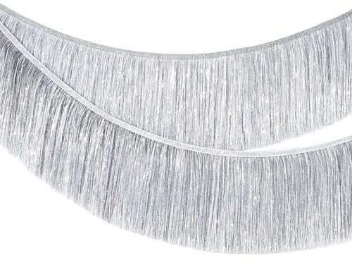 MORAINJAY 2M Guirlande à Franges,20cm Argent Métallique Brillant Tinsel,Décoration Fête en Feuille pour Anniversaire,Marriage,Nouvel an,DIY Photobooth