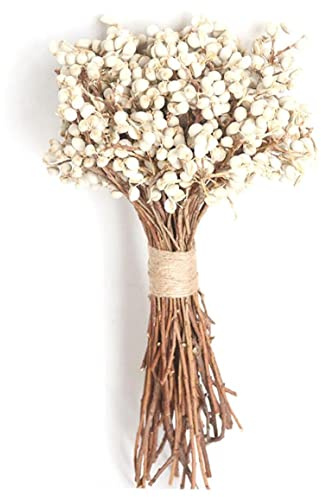 Zonster 20 Unids/Set Bolas Algodón Natural Plantas Flores Secas Secas Real Fruta Bunch Fiesta Flores Decorativas DIY Decoración Boda