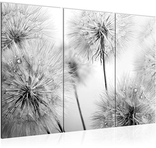 Runa Art Wandbilder Blumen Pusteblumen Bild XXL Wohnzimmer Schlafzimmer Schwarz Weiss Natur 120 x 80 cm 3 Teilig 042031c
