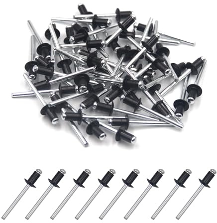 BESTYCHAO 100 pezzi rivetti ciechi in alluminio 4,8 mm x 8 mm, rivetti pop rivetti aperti, confezione da 100 - nero