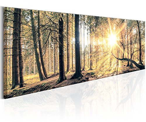 murando - Akustikbild Bilder Akustikschaum Hochleistungsschallabsorber Schallschutz Leinwand 1 tlg Wandbild Raumakustik Schalldämmung Wald Natur c-C-0018-b-d