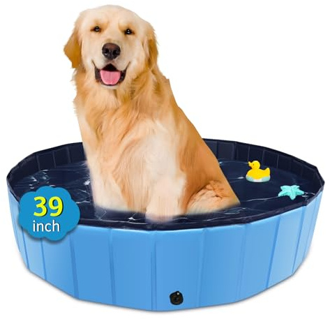 CACSPS Piscina per Cani Pieghevole, Piscina per Bambini da 100cm con plastica Dura, Vasca per Cani Antiscivolo per Cortile all'aperto (Blu)