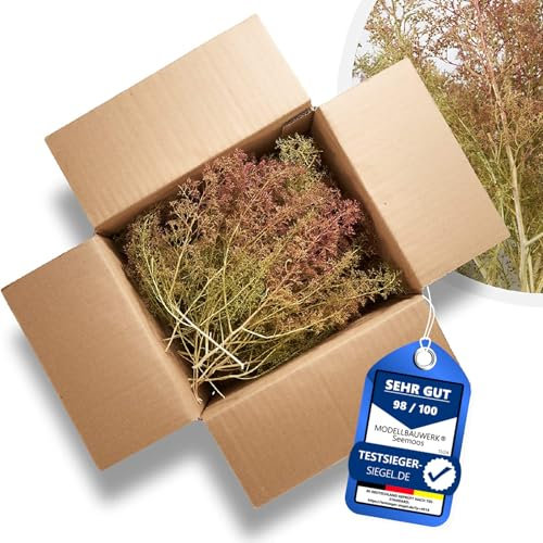 Espuma de mar | Tamaño de cartón 25 x 20 x 15 cm | >crecimiento alargado< | Ideal para bosques de modelismo | construcción de maquetas arquitectónicas, árboles, arbustos, paisajes y dioramas | natural