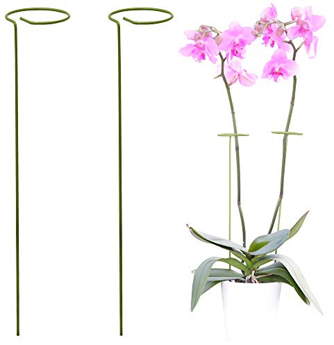 ODOXIA Pack De 2 Soporte Plantas y Flores Altas | Estacas De Jardín | Ayuda A Sus Plantas A Crecer | Jaula para Tomateras | Varillas De Plantas para Orquídeas, Amarilis, Peonías, Pimientos y Más