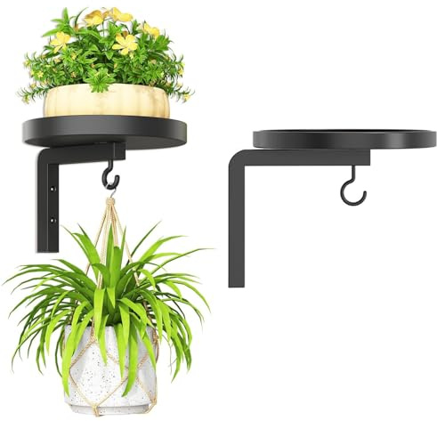 Rosqmor Etagere Plantes Interieur Mural, Métal Porte Plante Décoration Murale, Etagere Plantes Suspendre avec Crochets, Noir étagère Plantes pour Le Salon, Le Balcon, Le Bureau, 1 Pièces