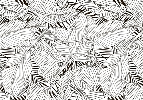 Wesmilewallpaper Papier Peint Panoramique 3D Géométrie De Feuille De Palmier Noir Et Blanc Minimaliste Moderne Papiers Peints Intissé Poster Mural Tapisserie Murales 430x300cm