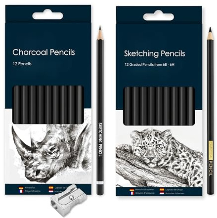 24-Piece Artist Pencil Set – 12 Sketching Graphite Pencils (6B–6H) + 12 Charcoal Pencils & Sharpener | Drawing Set for Artists, Students & Beginners | Ideal for Shading, Sketching & Illustration