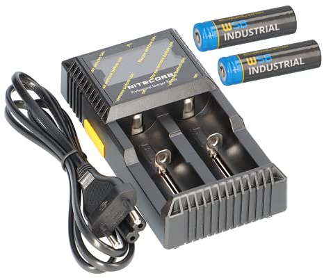 2X SOLAR Mignon AA Akkus wiederaufladbare Batterien 3,2V 1,92Wh LiFePo4 Hochleistungs- Akku Batterie speziell für Solarlampen Solar Lichterkette Solarleuchte Leuchte + D2 Ladegerät