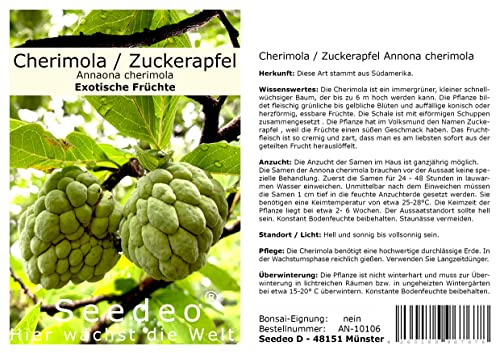 Seedeo® Cherimola/Zuckerapfel (Annona cherimola) 10 Samen