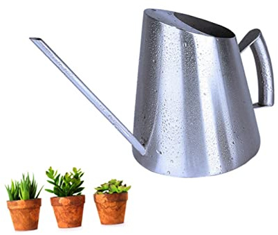 ANDRESLAD Gießkanne mit langem Auslauf für Pflanzen | 900 ml, aus Edelstahl, gebürstete Oberfläche, für Zimmerpflanzen, Garten, Innen- und Außenbereich, ideal zum Bewässern