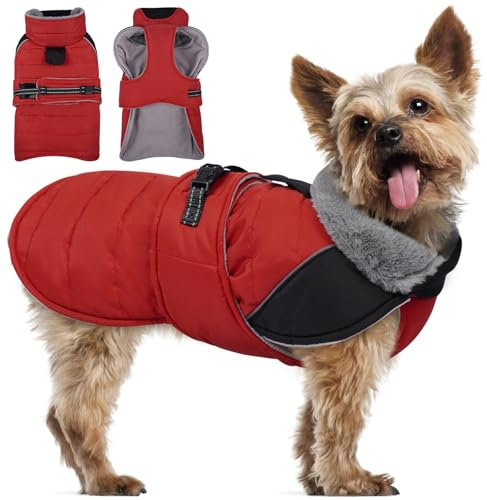 Lelepet Hundejacke, Winter Warmer Hundemantel für Kleine Hunde, Wasserdicht & Winddicht Hunde Wintermantel, Fleece Hund Schneeanzug Winterjacke (Rot, XS)