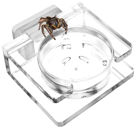 Spindelmatskål – transparent akrylfoderkopp, magnetmonterad hållare, lätt terrarieverktyg | Stabiles, rent utfodring presentationslösning för trädspindlar, exotiska husdjur