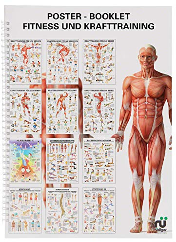 Sport-Tec Mini-Poster Booklet Fitness, 12 Poster, Krafttraining, Wirbelsäulengymnastik