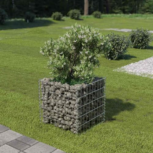 GCHDHAPB Gabion - Cama elevada de acero galvanizado, 50 x 50 x 50 cm, macetas y jardineras para el hogar y el jardín