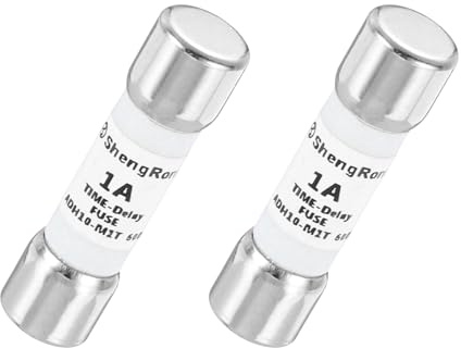 QUARKZMAN 2er Packung Glas Sicherung 1A, Träge Feinsicherung 10X38mm Zeitverzögerungssicherung 600V AC für DIY-Inverter-Schaltkreisplatine
