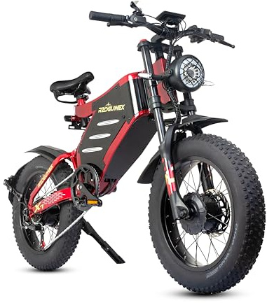 RZOGUWEX Bicicletta elettrica, 20 pollici 160NM Dual Motor Off-Road EBIKE per adulti con batteria agli ioni di litio staccabile da 48 V 30 AH, doppio freno a idraulico
