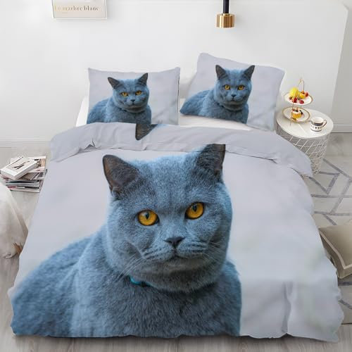 BettwäSche 220x240 Blaue Katze Bettbezug mit 2 Kissenbezug 80x80 cm Weiche und Angenehme 120g Mikrofaser Bettwaren Fette Katze Bettwäsche-Sets 3-Teilig mit Reißverschluss für EinzelbettDoppelbett