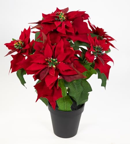 Seidenblumen Roß Großer Weihnachtsstern Nature 40cm samt-rot im Topf PM künstliche Blume Kunstpflanze Kunstblumen Poinsettie
