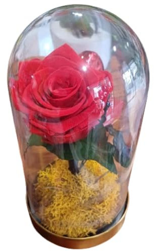 Generico Rose Stabilizzate Eterne | Bellezza | Senza Tempo | Senza Manutenzione (Rossa nella Campana)