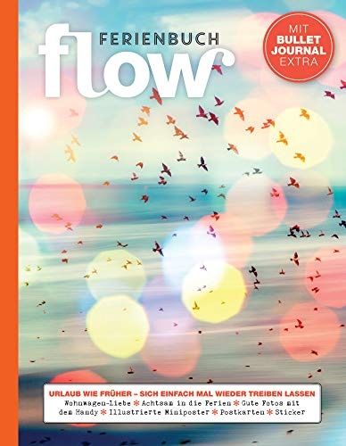 Flow Ferienbuch Band 6: Mit Bullet-Journal extra